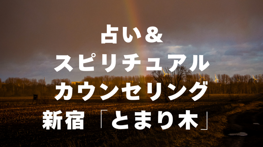 新宿付近当たると噂の占い『占い＆スピリチュアルカウンセリング新宿「とまり木」』