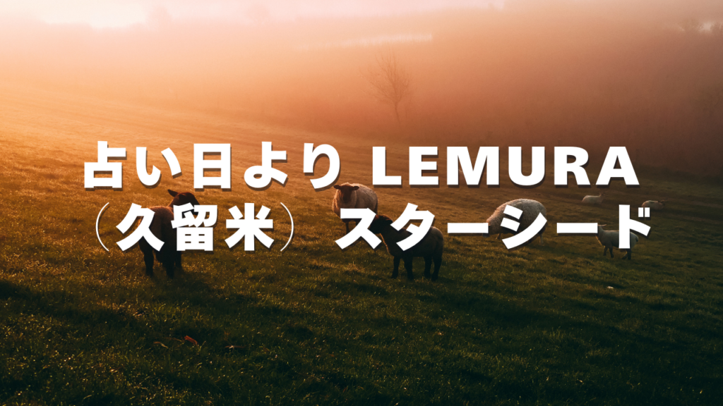 久留米付近当たると噂の占い『占い日より LEMURA（久留米）スターシード』