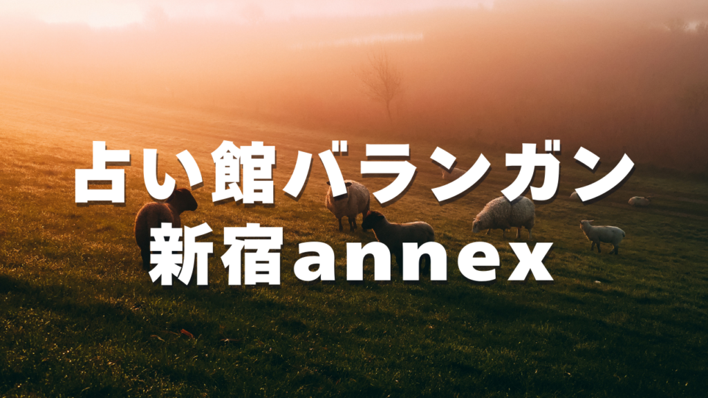 新宿付近当たると噂の占い『占い館バランガン新宿annex』